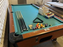 Billard bord med "Prof Balls" og billardkøer.