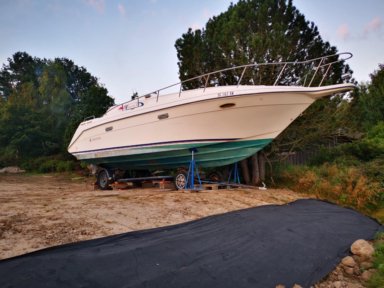 Motorbåt Riniker Fiesta Vee 300 reparationsobjekt 