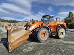 Hjullaster Doosan DL 550 - 3 Wheel Loader Doosan DL 550 - 3