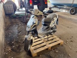 PGO  PMX Sport PMX 50 Pmm