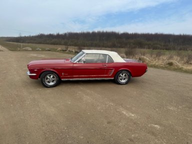 Ford Mustang Cabriolet 