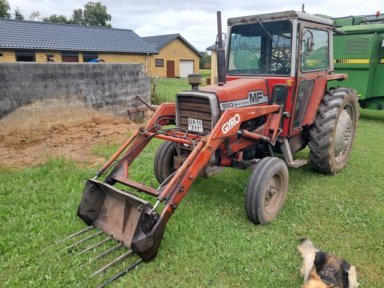 Traktor MASSEY FERGUSON 590 m. Gyro frontlæsser