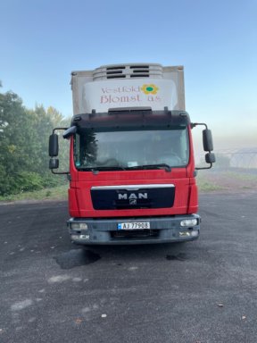 Truck MAN TGL 12.250