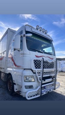 Dyretransport MAN TGX26.5406X4BL rep objekt