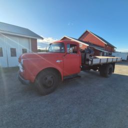 1955mod. DODGE FARGO CUSTOM FC3H6171..Se video!