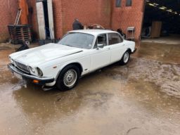 Bil Jaguar XJ 6 4,2 Oldtimer