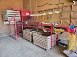 Sorteringsanläggning för potatis Sörgårdsprodukter